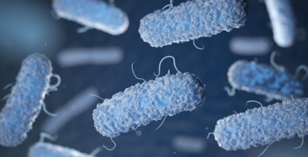 شیوع اسینتوباکتر